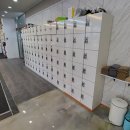 피티스미스 네이버블로그
