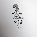 꽃씨뿌리는마음