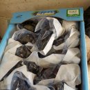 삼덕농장 이미지