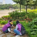 와동체육공원 이미지