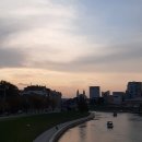 건내뜰농장 | D+1 다시 만난 나의 친구 루카스, 그리고 쿠사마 야요이