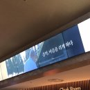 유키구라모토 피아노 연주회 이미지