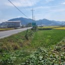 이양면사무소 이미지