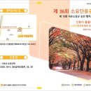 제36회 소요단풍문화제 이미지