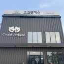 코코앤잭슨 | 구미 근교 김천 애견카페 야외운동장이 있는 코코앤잭슨