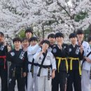 합기도 청무관 네이버블로그