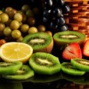 믿음농장 이미지