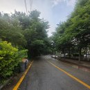 쌀면가 | 호매실 청춘면가 솔직후기 초계국수 쌀국수?칼국수?