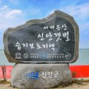 압해도 바닷가에서 - 청솔 이미지