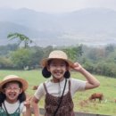 대명목장 이미지