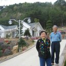 올연농원민박 이미지