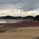 대부도 바닷가펜션 이미지