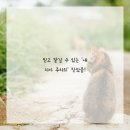 바로봄치과의원 이미지