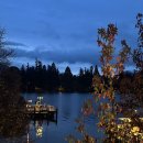 인터파이오니아 | 🇳🇿뚜벅이의 뉴질랜드 솔로여행 : Tekapo lake 테카포, 선한 목자의 교회, HAKA HOUSE 숙소 후기