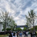 박인희 | [박인희 콘서트 관람] 연세대 대강당 공연 모습들