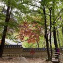 두타산성 | 〔동해 두타산성 2〕 :: 여자 혼자 등산/등린이등산추천/두타산성상세후기(사진많음주의!!!)