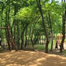 부평구 비타민길 이미지