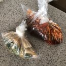 자매돌산갓김치 | 여수 갓김치 택배 / 돌산 갓김치 배송 :: 돌산세자매갓김치 구매 후기