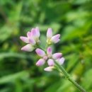 산하소소 이미지