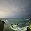 손만두손찐빵 | [부산/맛집]🌙기장 드라이브 필수코스, 밤에 더 미친 비주얼 일광당 찐빵·손만두 솔직후기