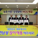 대보문화