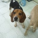 로또하우스 이미지