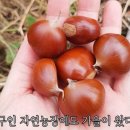 진복농장 이미지