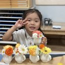 박채율 Daum카페