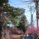 순천기독의원 이미지