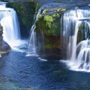 그린바다 이미지