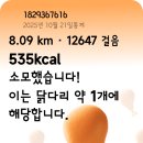 낙지비빔밥/뚝배기불고기 이미지