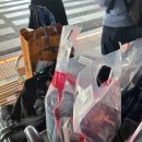 437 | 싱가포르항공 비즈니스석 SQ437 , SQ600 기내식 후기 몰디브