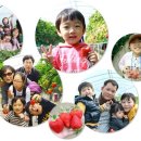 잼 태양광발전소 이미지