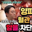 뇌혈관 청소부’혈관 회춘, 만병통치 보약, 양파 껍질차 이미지