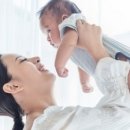 피자알볼로신 이미지