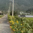 중앙2길 이미지