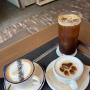 갈마애견 | 대전 당일치기 여행 숙소 애견동반 카페 내돈내산 후기