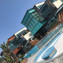 건메딕스 이미지