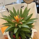 신월동118 이미지