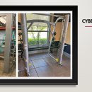 Cybex PL Leg Press , Cybex Smith 판매합니다. 이미지