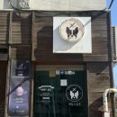네임드 살롱 | 부천 도당동강아지미용 말티푸 네임드살롱❤️