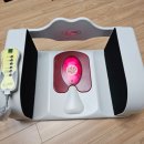 세라메디칼의료기기 | 골반 교정 의료기기 [Hip2080 plus] 구매 및 사용 후기