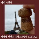 파리 처음 가본 아저씨의 에펠탑 개선문 몽마르뜨 언덕 후기