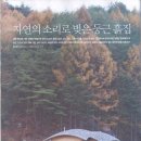 봉화로 이미지