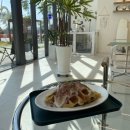 다니워리 이미지