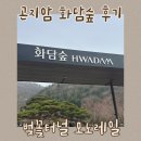 공유숲 | 화담숲 봄 나들이 벚꽃 상황 공유 모노레일 명당 귀여운 다람쥐 만난 후기