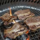 산호갈비 이미지