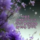 봄과 당신/혜심 김소희 이미지