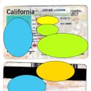 You 행정사사무소 이미지