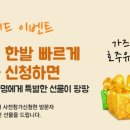 링크오스트레일리아유학 이미지